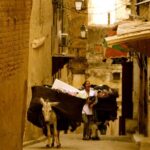 Private Full-Day Trip to Explore Fes City from Casablanca - Transportation and Comfort