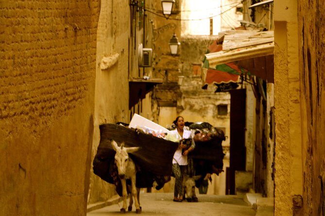 Private Full-Day Trip to Explore Fes City from Casablanca - Transportation and Comfort
