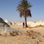 Private Full-day White and Black Desert Tour From Cairo/Giza - The Sum Up