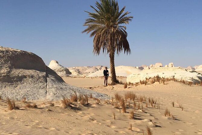 Private Full-day White and Black Desert Tour From Cairo/Giza - The Sum Up