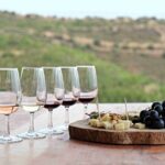 Private Full Day Wine Tour in Cape Town - FAQ
