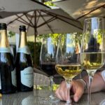 Private Full Day Wine Tour: Stellenbosch and Franschhoek & Paarl - What’s Included and What to Expect