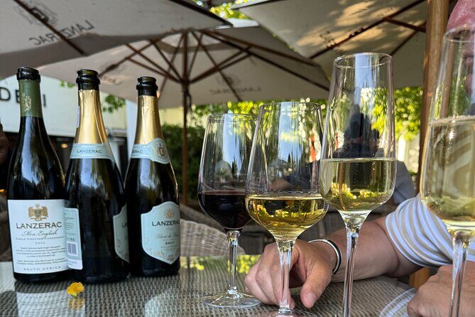 Private Full Day Wine Tour: Stellenbosch and Franschhoek & Paarl - What’s Included and What to Expect