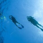 Private Glass family Boat Snorkeling 4 hours - Marine Environment and Snorkeling Spots