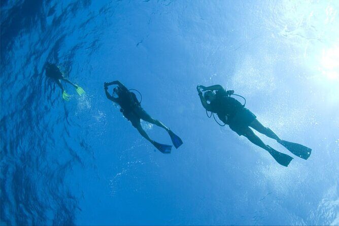 Private Glass family Boat Snorkeling 4 hours - Marine Environment and Snorkeling Spots