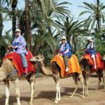 Private Guided City Tour to Discover The Medina or Old Town of Marrakech - The Sum Up