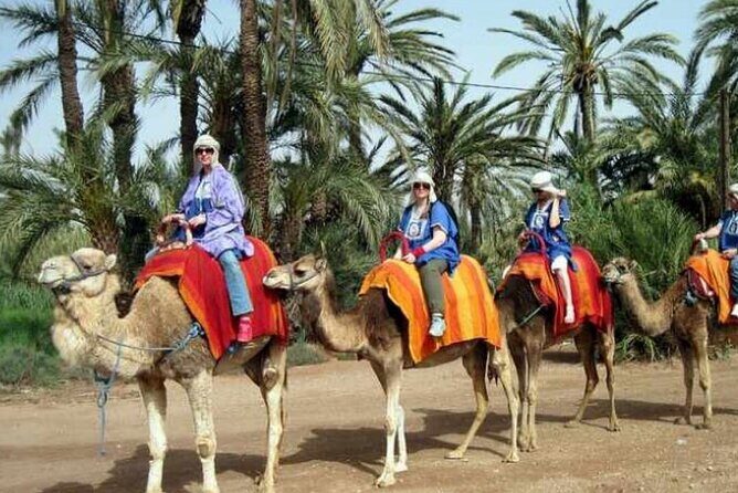Private Guided City Tour to Discover The Medina or Old Town of Marrakech - The Sum Up