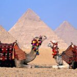 Private Guided Tour to Giza pyramids, Sphinx, Saqqara and Memphis + Lunch - What Makes This Tour a Great Choice?
