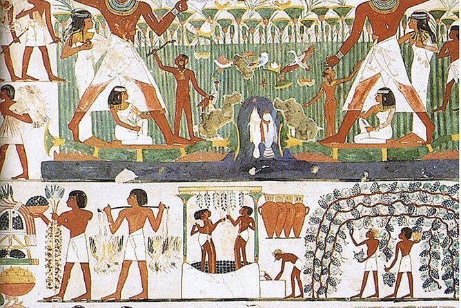 Private Guided Tour to Habu Temple, Valley of the Queens and Deir El Madina - Who Will Appreciate This Tour the Most?