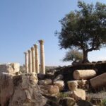 Private Guided Umm Quais and Jerash tour with lunch - What Travelers Love About This Tour
