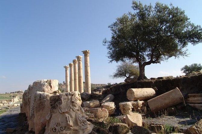 Private Guided Umm Quais and Jerash tour with lunch - What Travelers Love About This Tour