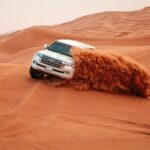 Private Half Day Desert Safari - Transportation & Overall Experience