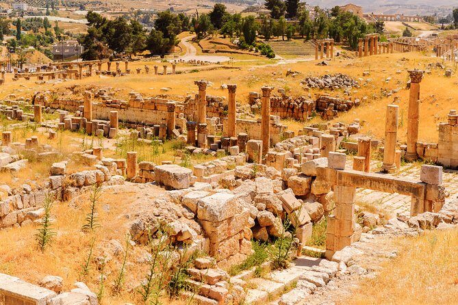 Private Half Day Jerash and Amman Sightseeing Tour - The Best of Amman: Panoramic Sights and Cultural Vibes