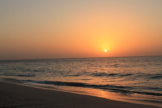 Private Half-Day Muscat City At Night Tour - Authentic Experiences & Insider Tips