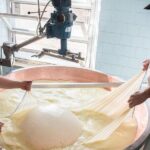 Private Half Day Parma Food Tour: Parmesan Cheese, Parma Ham, Lunch - Who Will Love This Tour?