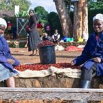 Private Half-Day Tour in Fairview Coffee Farm from Nairobi - Authentic Insights from Reviewers