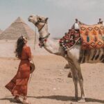 Private Half-Day Tour in Giza Pyramids with Camel Ride - Why This Tour Offers Excellent Value