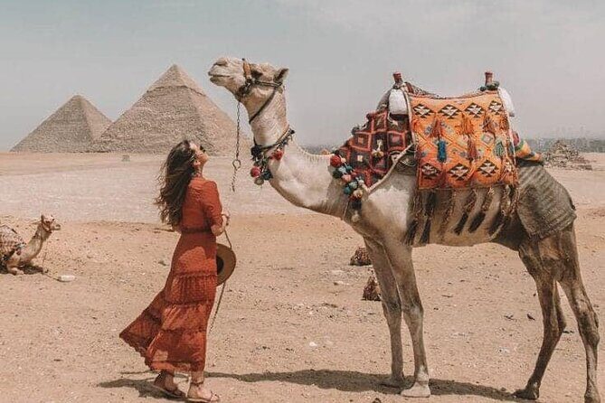 Private Half-Day Tour in Giza Pyramids with Camel Ride - Why This Tour Offers Excellent Value