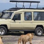 Private Half Day Tour in Nairobi National Park Safari - What Travelers Love About This Tour
