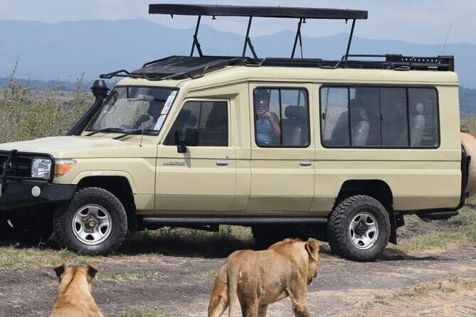 Private Half Day Tour in Nairobi National Park Safari - What Travelers Love About This Tour