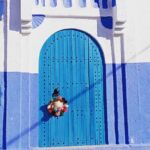 Private Half-Day Tour of Casablanca - Authentic Feedback from Past Travelers