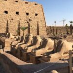 Private Half-Day Tour to Karnak & Luxor Temples - Starting Point: Hotel or Cruise Pickup