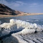 Private Half Day Tour to Visit the Dead Sea - Final Thoughts: Who Is This Tour Perfect For?