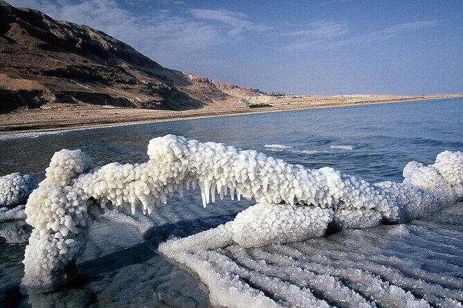 Private Half Day Tour to Visit the Dead Sea - Final Thoughts: Who Is This Tour Perfect For?