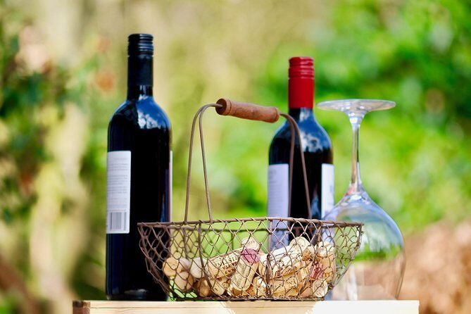 Private Half Day Wine Tasting tour: Road Of The Doges - The Real Value of the Experience