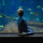 Private Hamad Port Tour in Mesaieed |Aquarium |Maritime Museum - Practical Details and Tips