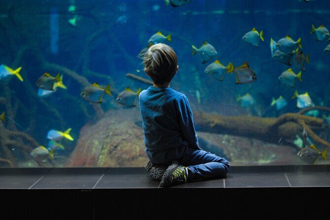 Private Hamad Port Tour in Mesaieed |Aquarium |Maritime Museum - Practical Details and Tips