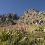 Private Hiking Tour of Table Mountain - Visiting the Summit and Surroundings