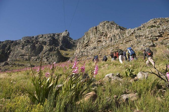 Private Hiking Tour of Table Mountain - Visiting the Summit and Surroundings