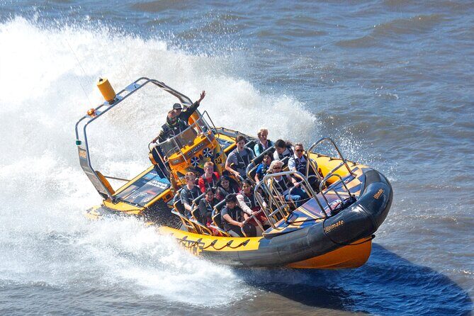 PRIVATE HIRE SPEEDBOAT 'THAMES BARRIER EXPERIENCE - 70 minutes from Embankment - Experience Overview and What to Expect