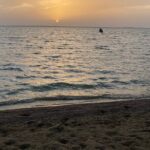 Private Horse Riding Experience at Red Sea - Why This Horse Riding Tour is Worth Considering