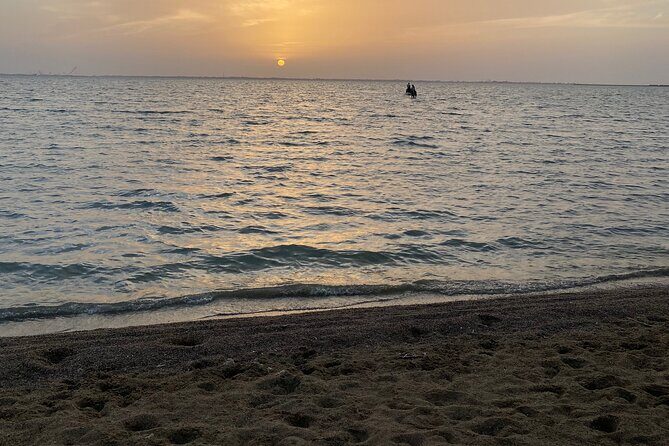 Private Horse Riding Experience at Red Sea - Why This Horse Riding Tour is Worth Considering