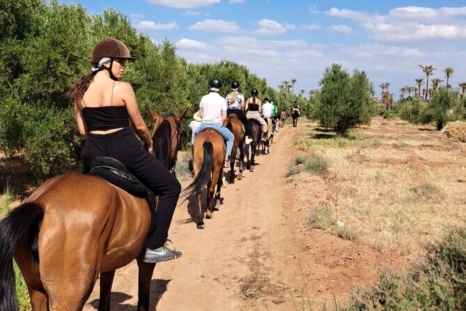 Private horseback ride in the Palmeraie of Marrakech - Transportation and Logistics