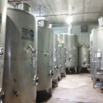 Private Israeli Wines Tour of the Central Israel - The Scenic Journey into Israeli Wine Country