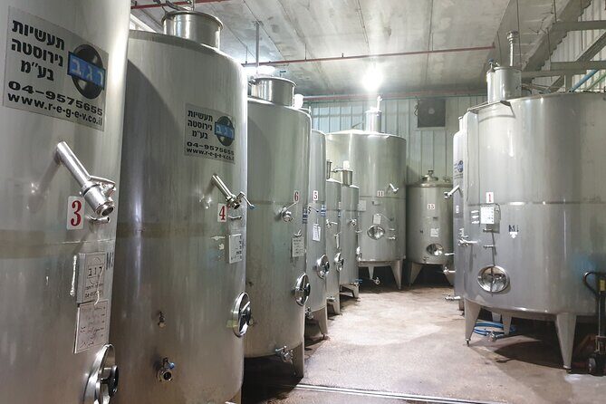 Private Israeli Wines Tour of the Central Israel - The Scenic Journey into Israeli Wine Country