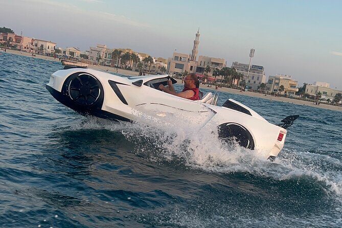 Private Jet Car Ride in Dubai - The Value of This Experience