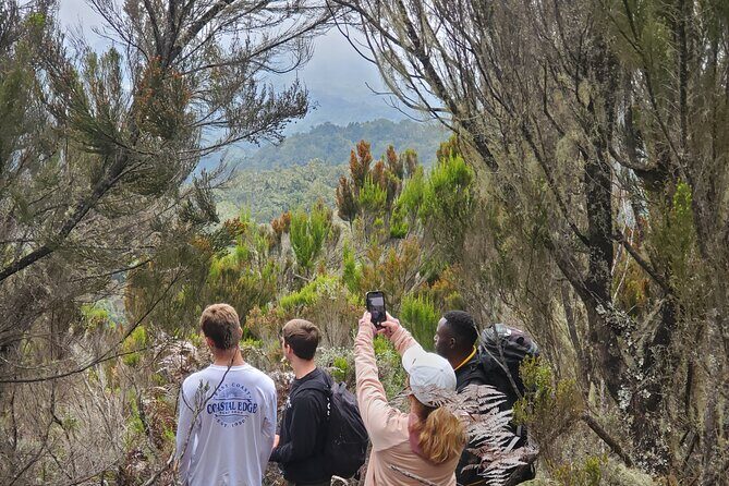 Private Kilimanjaro Day Hike to Marangu Route's Mandara Hut - What Makes This Tour Special?