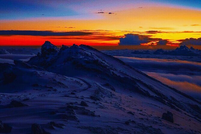 Private Kilimanjaro Hike 7 Day Lemosho Route - What Makes This Tour Stand Out?