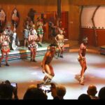 Private Lesedi Cultural Village Half Day Tour - Practical Details: What to Expect