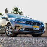 Private Luxury Transfer: Marsa Alam to Luxor - Red Sea to Nile - An In-Depth Look at the Transfer Experience