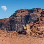 Private Martian Wadi Rum Overnight Bedouin Experience from Amman - What Makes This Tour Stand Out?