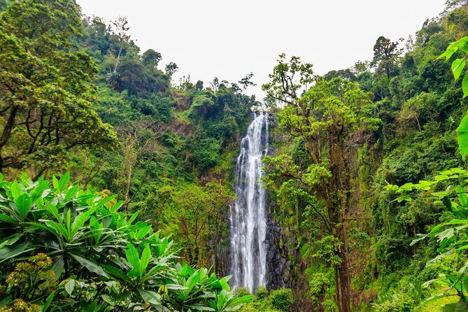 Private Materuni and Chemka Hotspring Tour - Who Will Love This Experience?