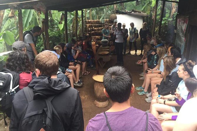 Private Materuni Waterfall & Coffee Tour. - What Makes This Tour Stand Out?