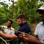 Private Meru Coffee Tour in Nkoaranga - Practical Details