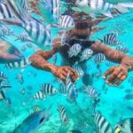 Private Mnemba Island and Turtle Aquarium Tour - Why This Tour Is a Great Choice
