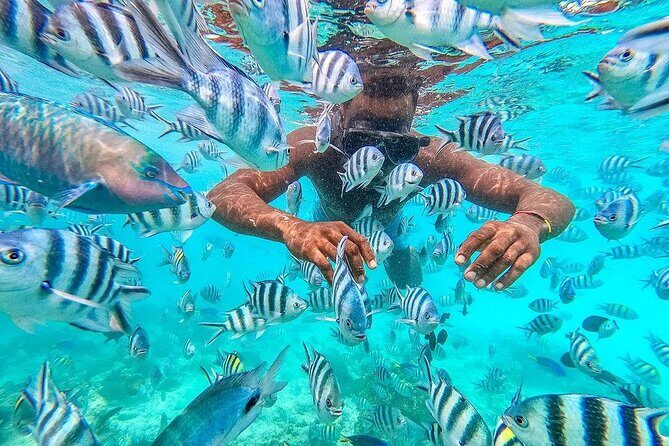 Private Mnemba Island and Turtle Aquarium Tour - Why This Tour Is a Great Choice